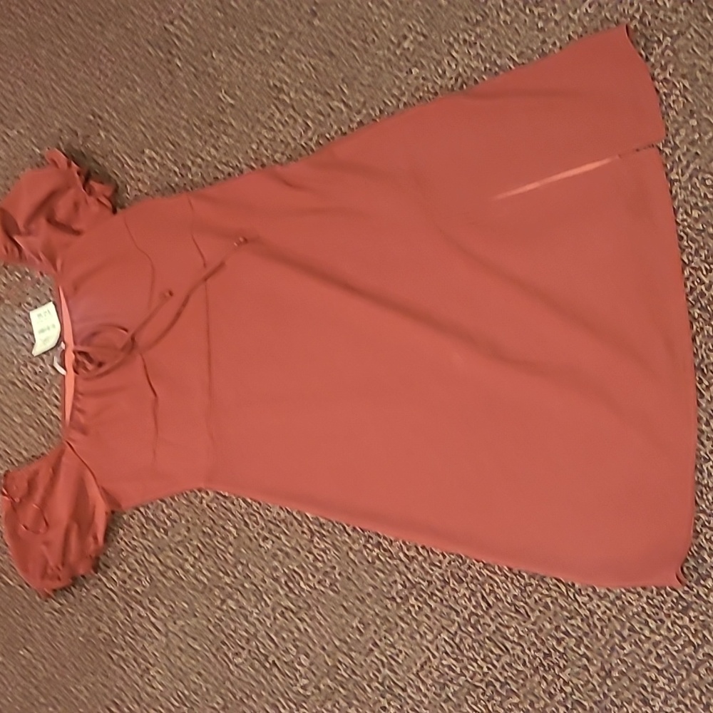 Nwt 1x rust color stretch dress